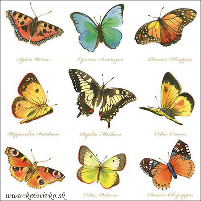 Servítka 33 x 33 cm - Motýle