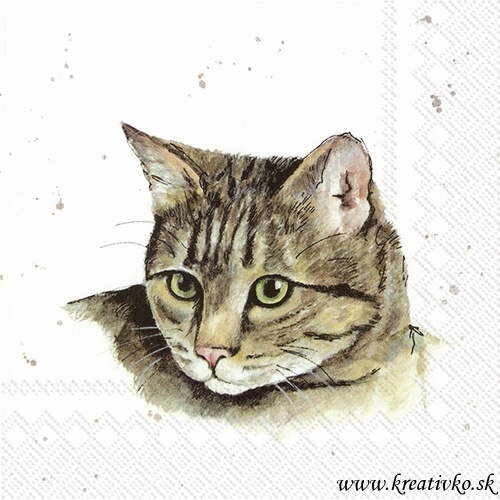 Servítka 33 x 33 cm - Mačka