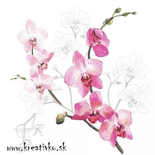 Servítka 33 x 33 cm - Orchidea