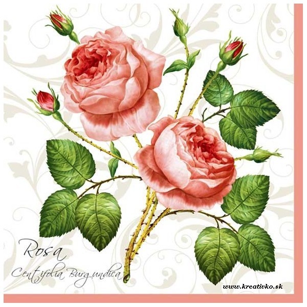 Servítka 33 x 33 cm - Ruža Centifolia
