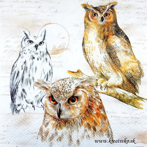 Servítka 33 x 33 cm - Sovy